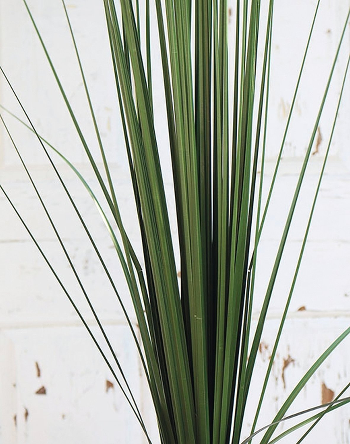 Canna cinese artificiale, 157 cm, verde