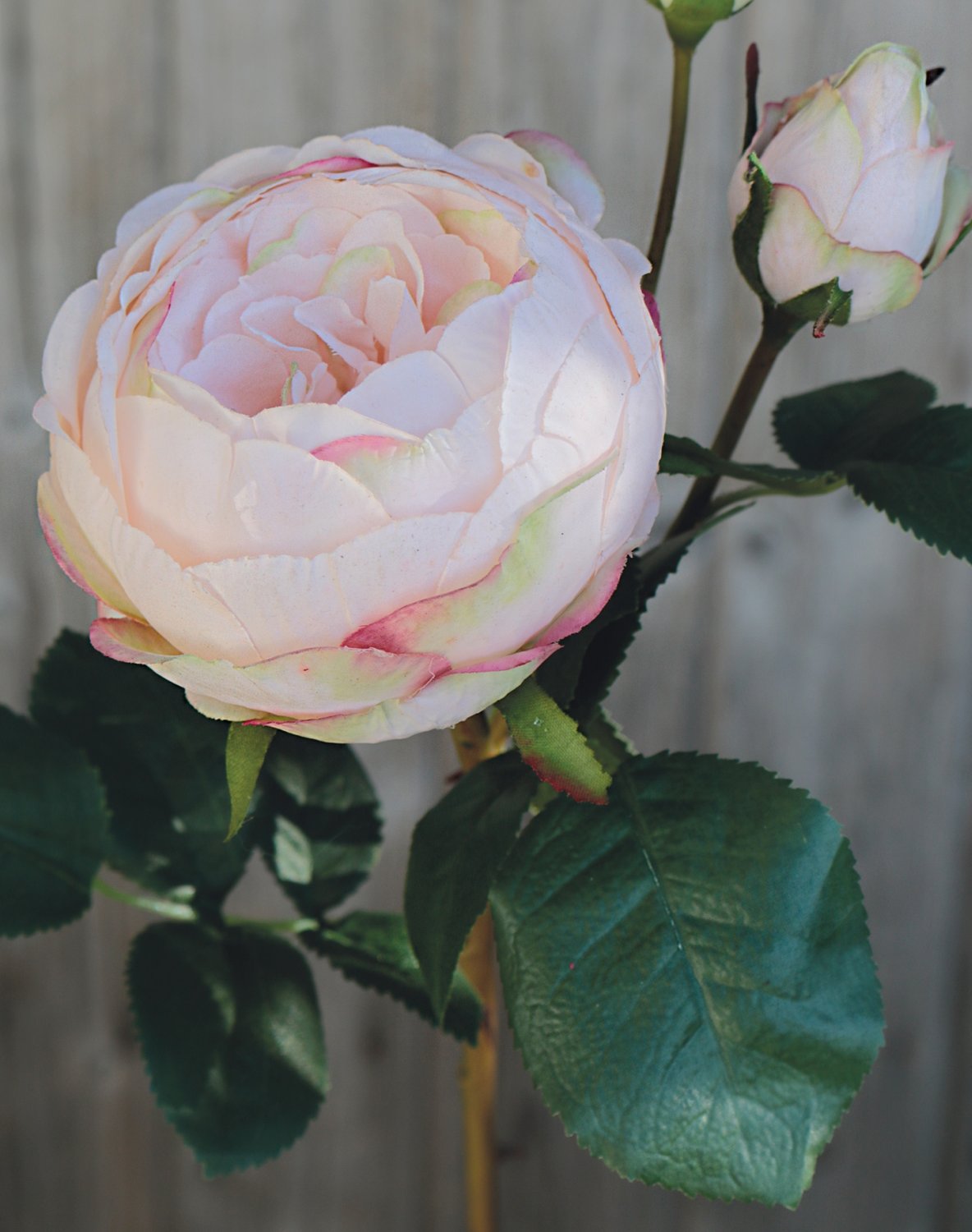 Artificial rose, 1 flower, 2 buds, 60 cm, real touch soft, antique-light pink