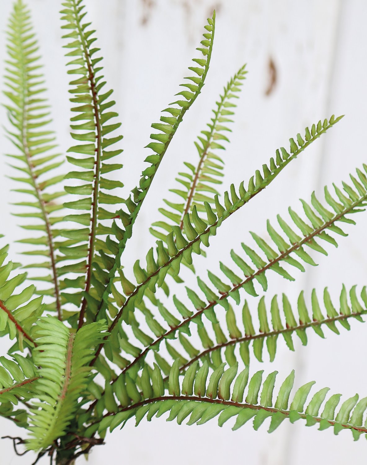 Imitation fern bush, 30 cm, green