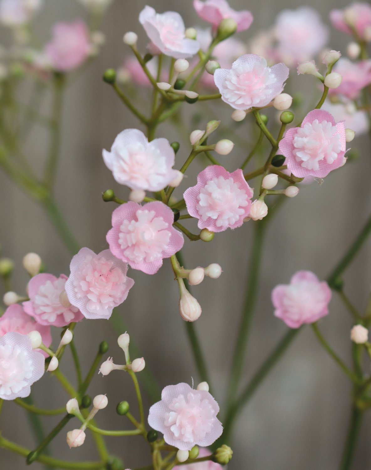 Gypsophilia artificiale, 70 cm, rosa-verde