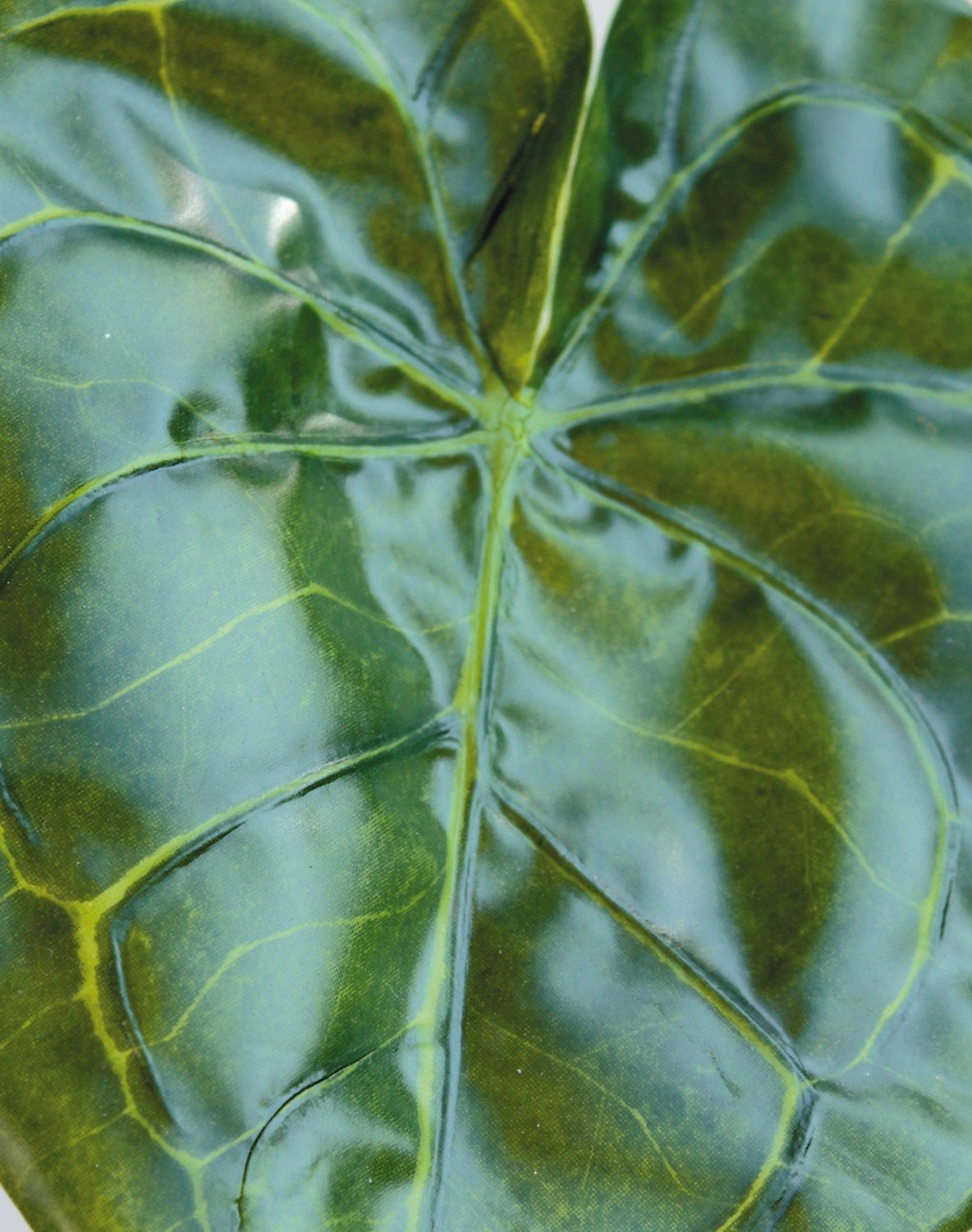 Artificial Anthurium leaf, 67 cm ( leaf 22 cm), green