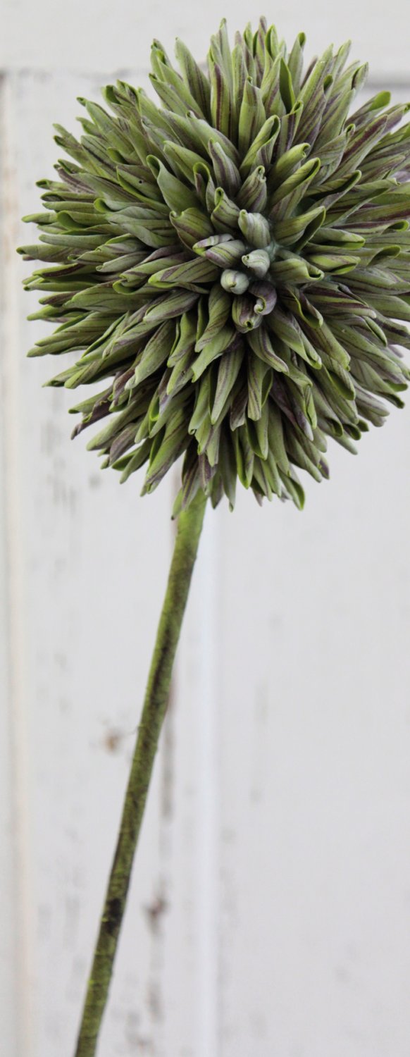 Künstlicher Soft flower 'Allium', 80 cm, grün