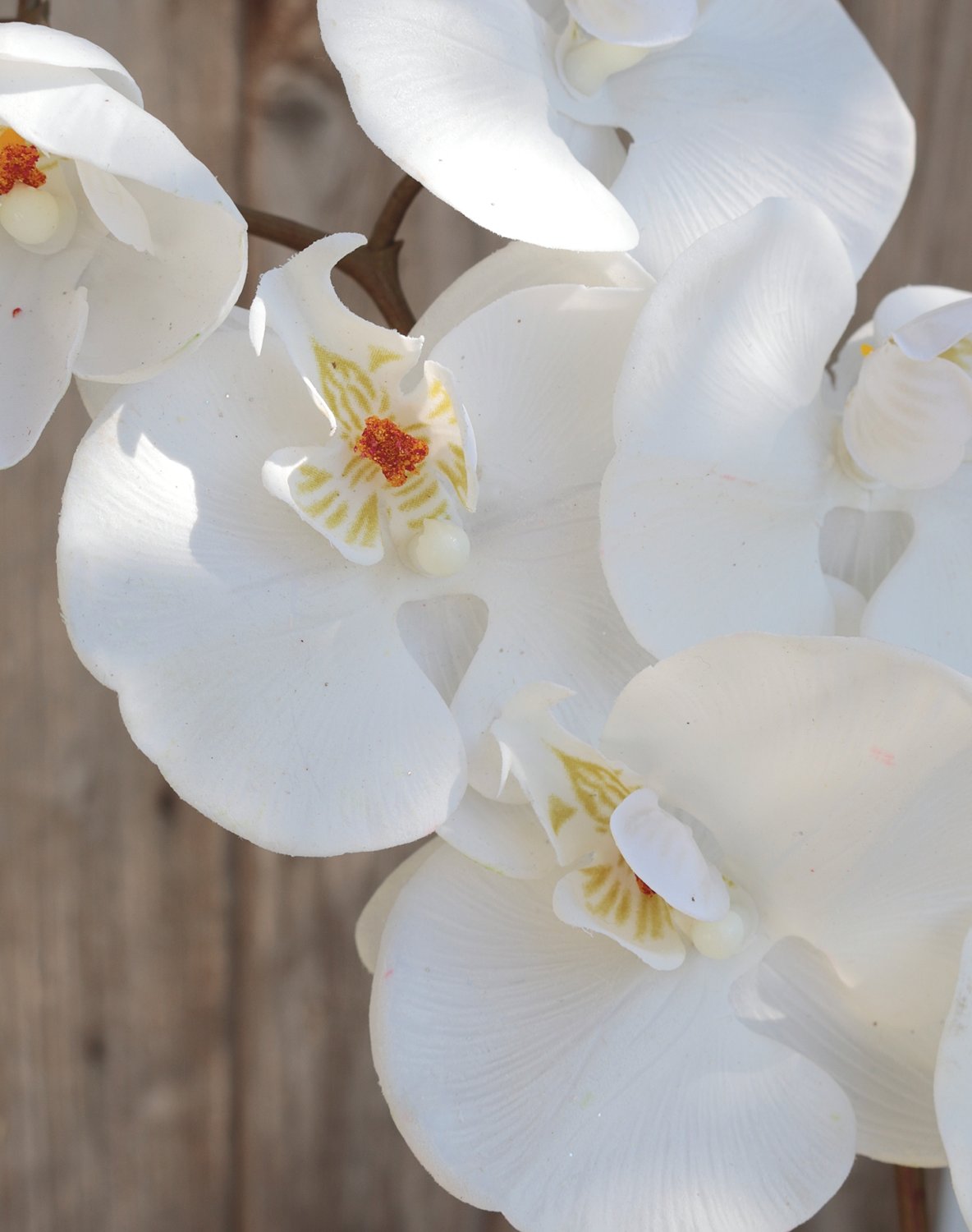 Künstliche Orchidee Phalaenopsis, 103 cm, Real Touch, pur weiß