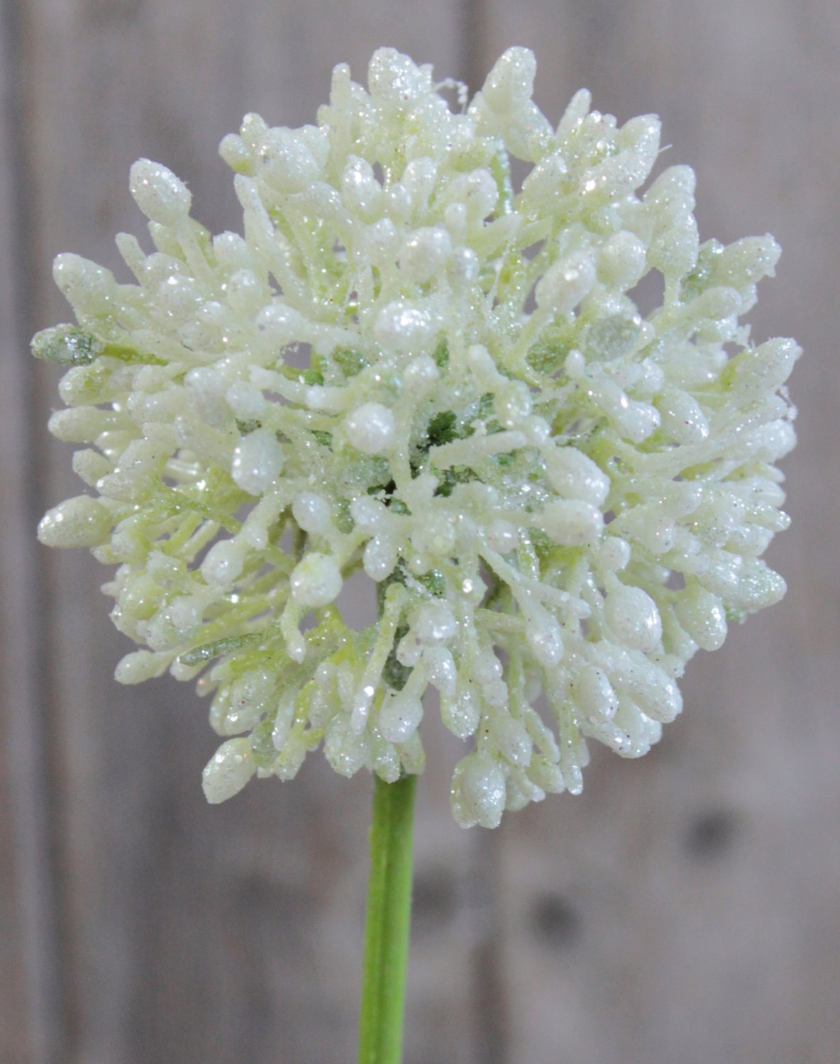 Artificial allium, 45 cm, frosted green