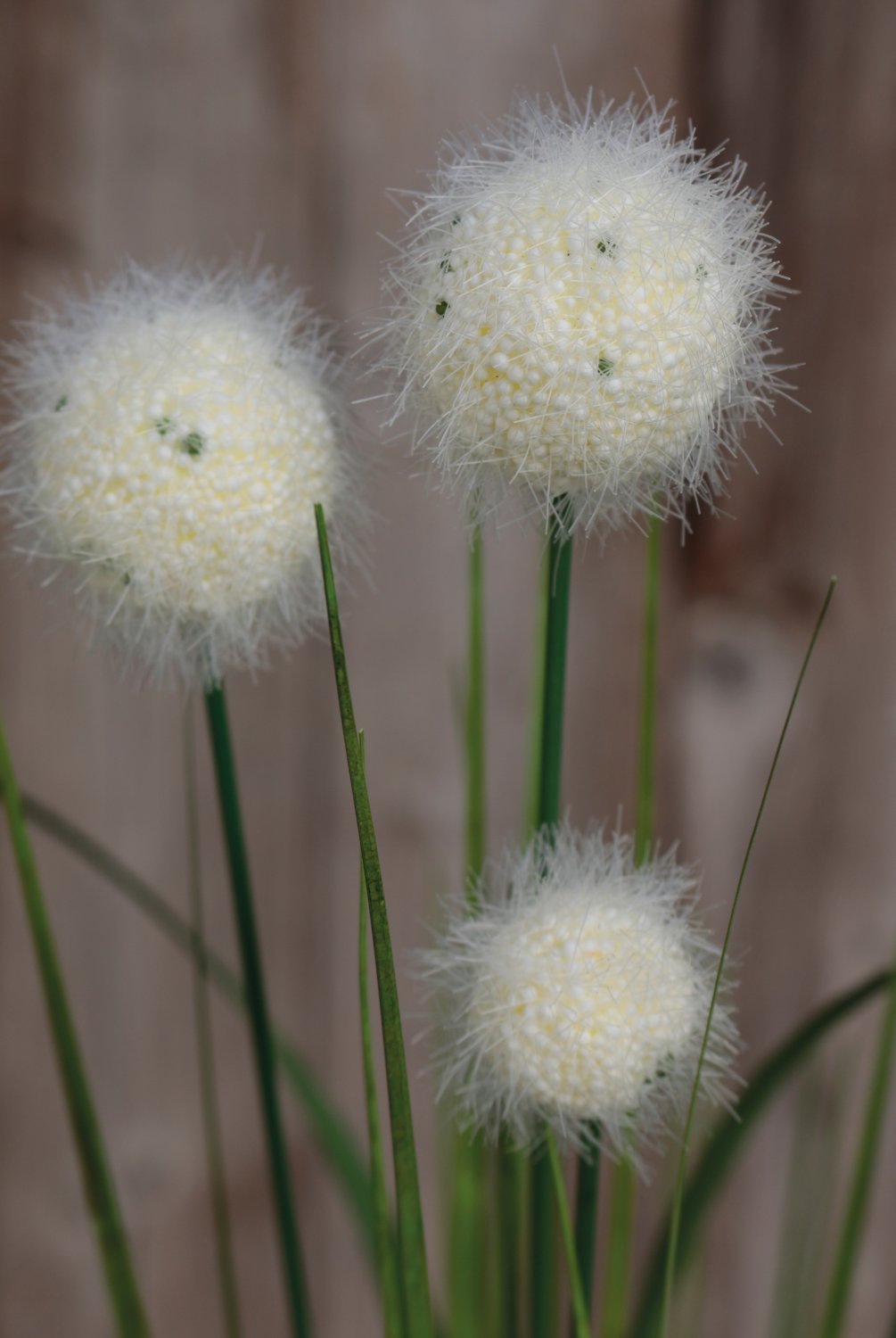 Artificial grass ball, 75 cm, green-white