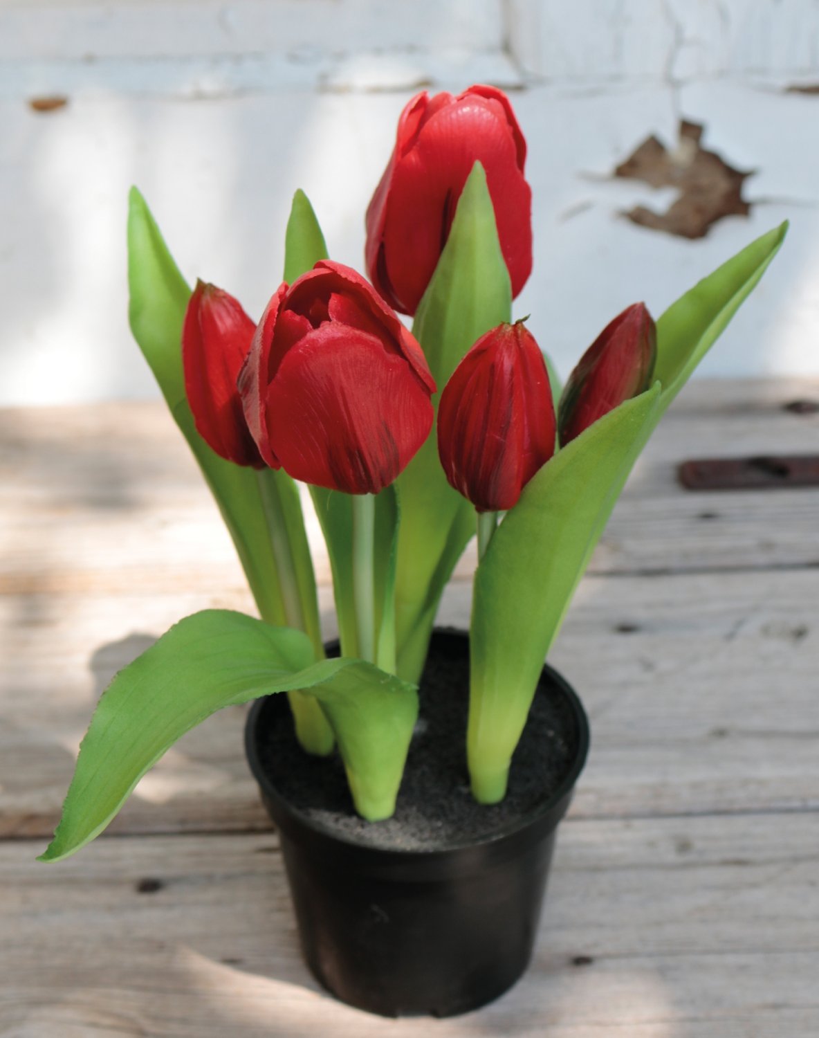 Künstliche Tulpen, getopft, 5-fach, 25 cm, Real Touch, rot