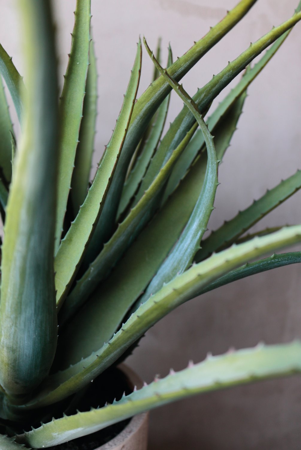 Künstliche Aloe, getopft, 53 cm, grün Künstliche Aloe, getopft, 53 cm, grün