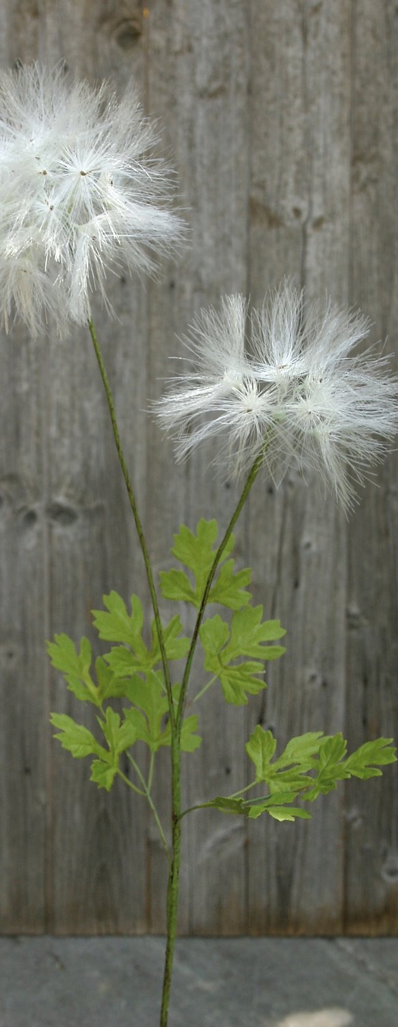 Artificial dandelion, 2-flowers, 78 cm, beige-white