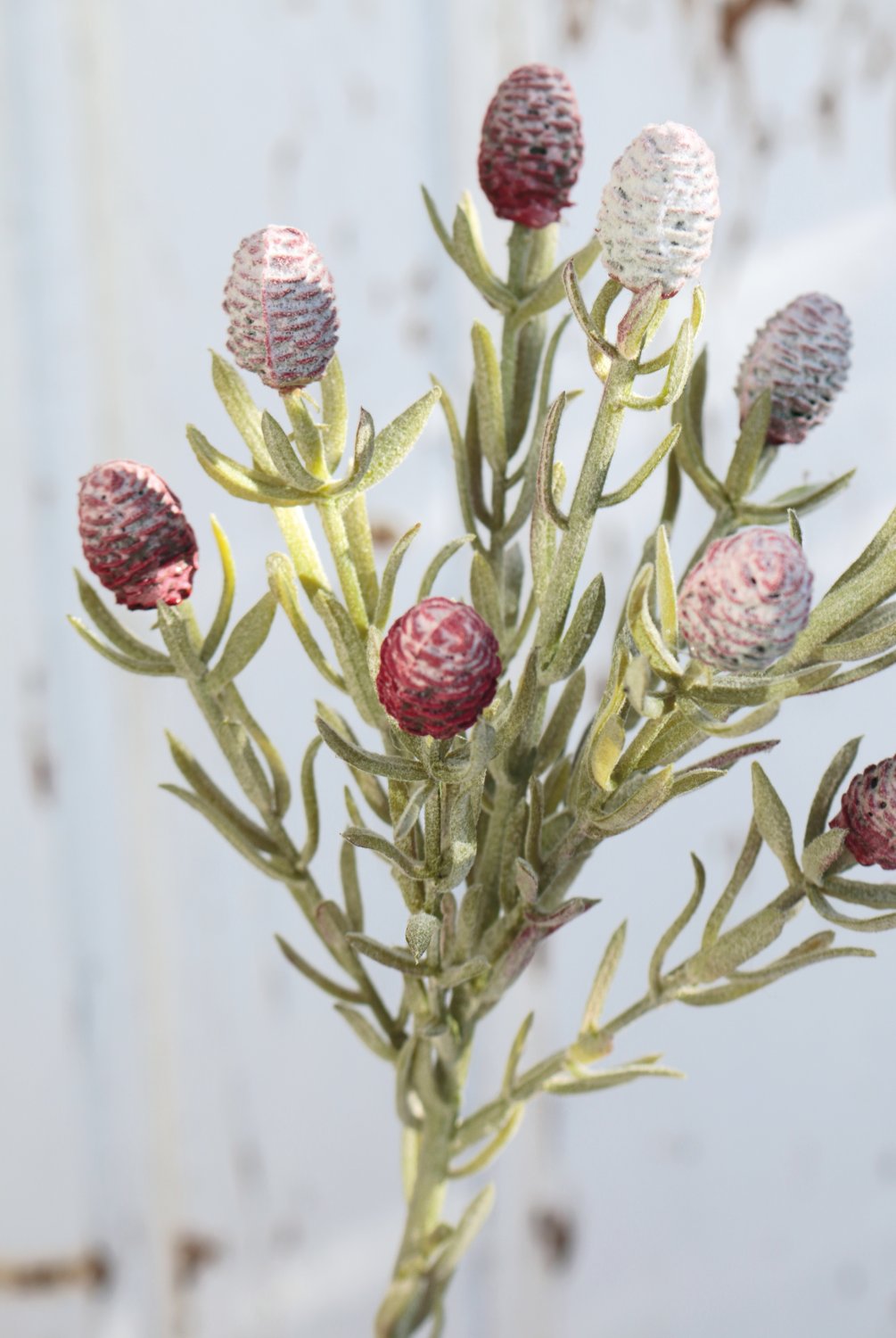 Künstliche Distel, 45 cm, rot-weiß