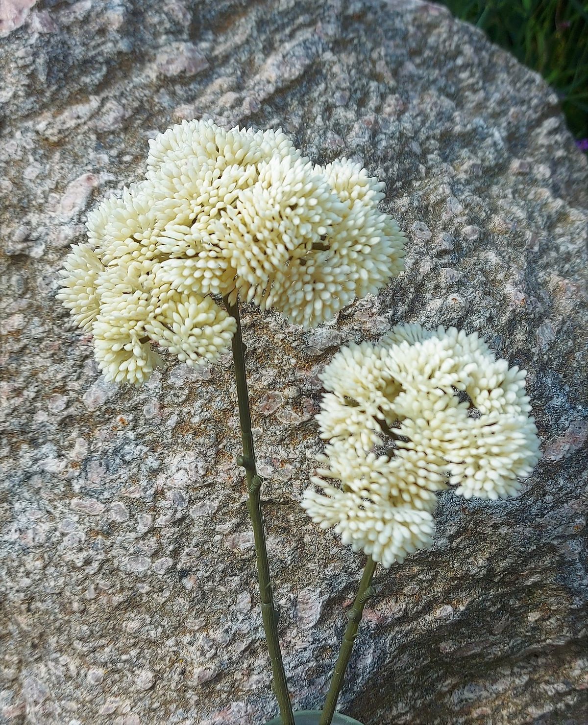 Artificial sedum branch "Vintage", 70 cm, cream-white