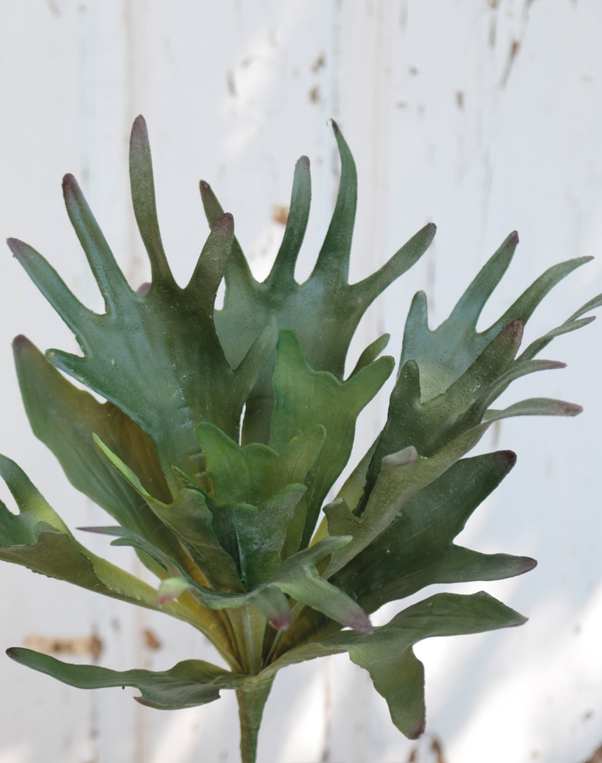 Artificial staghorn fern, 28 cm, green