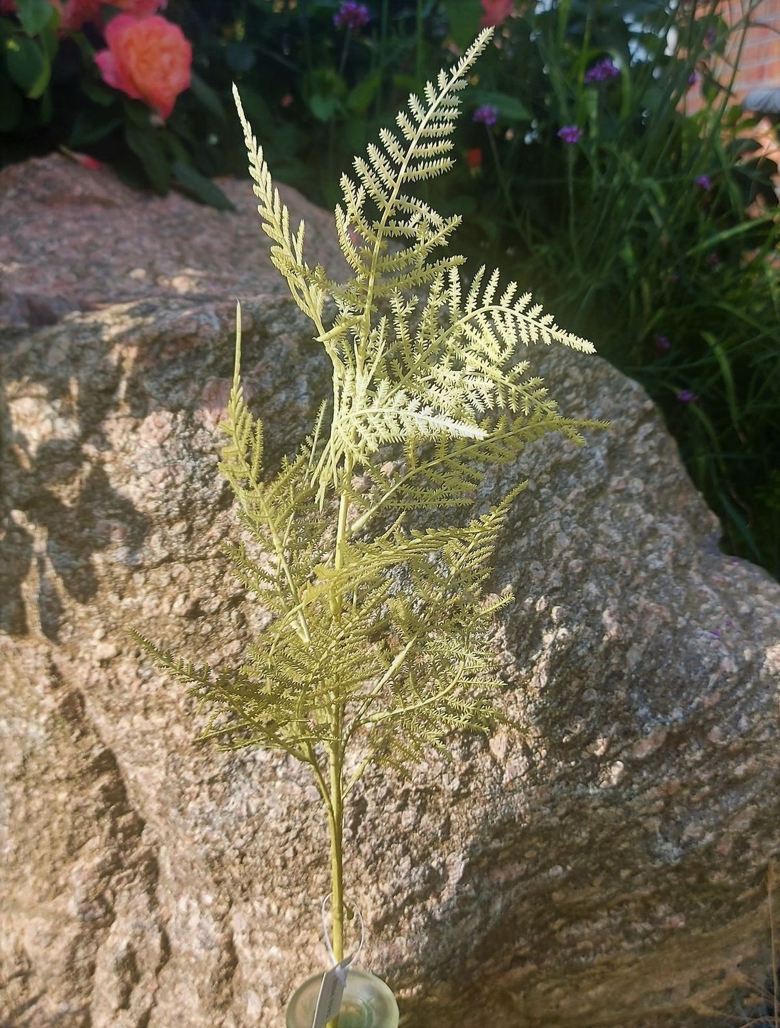 Kunstzweig Asparagus, 80cm, grau-grün