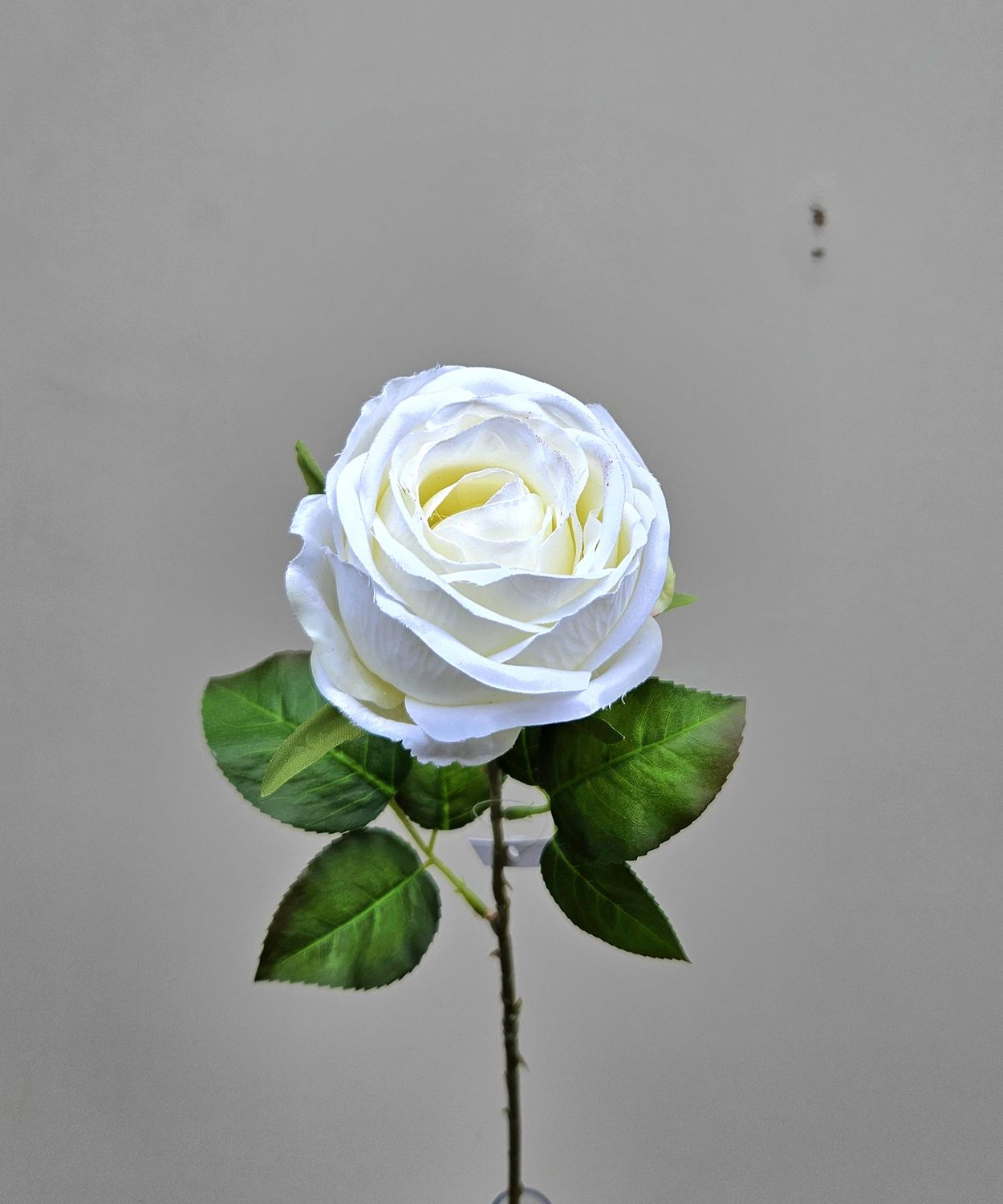 Englische Kunstrose, 66 cm, creme-weiß Englische Kunstrose, 66 cm, creme-weiß