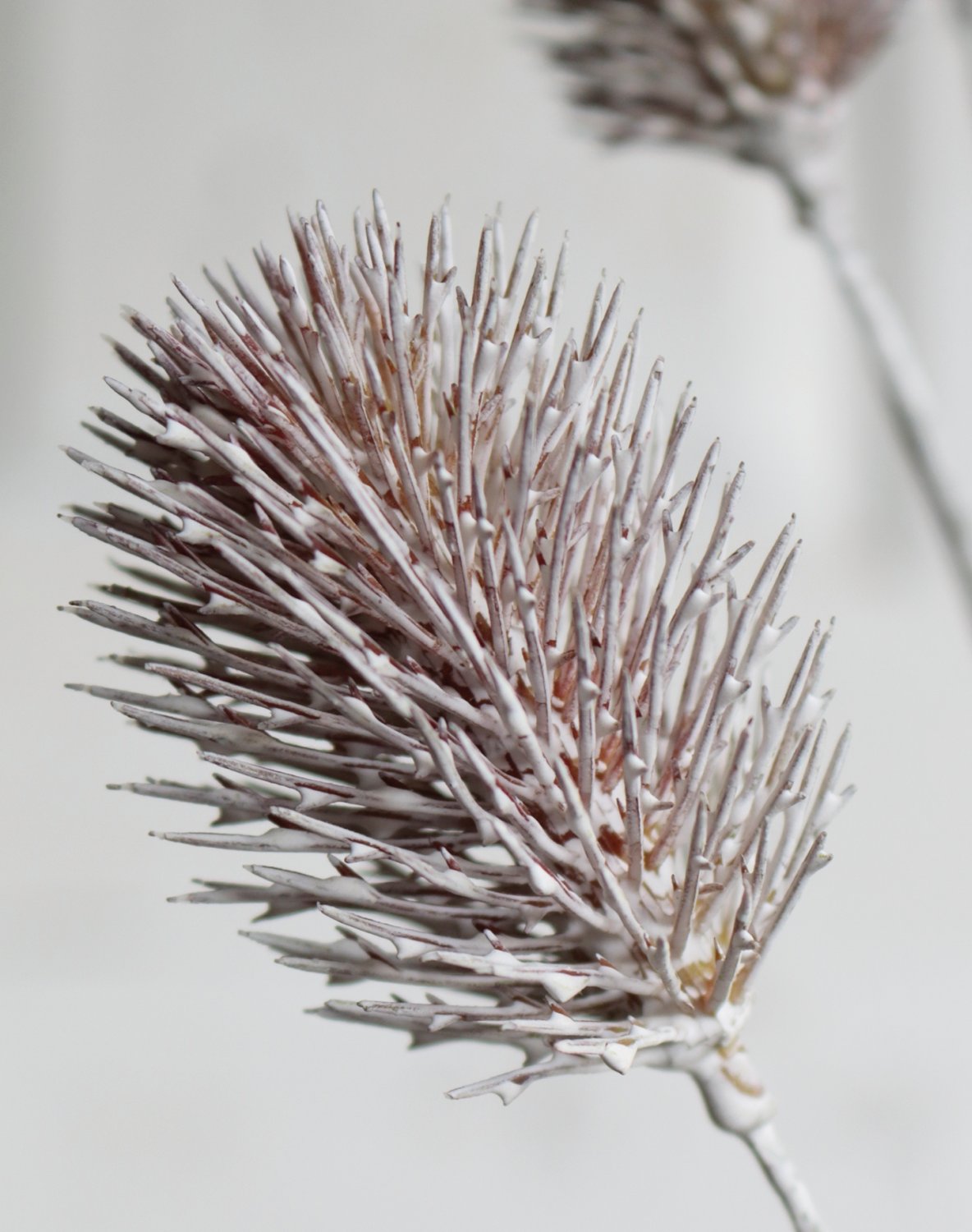 Artificial thistle, 80 cm, grey