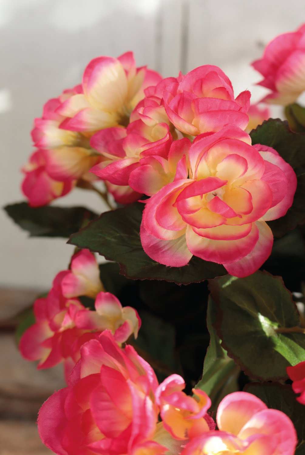 Bégonia artificiel, en pot, 30 cm, rose foncé