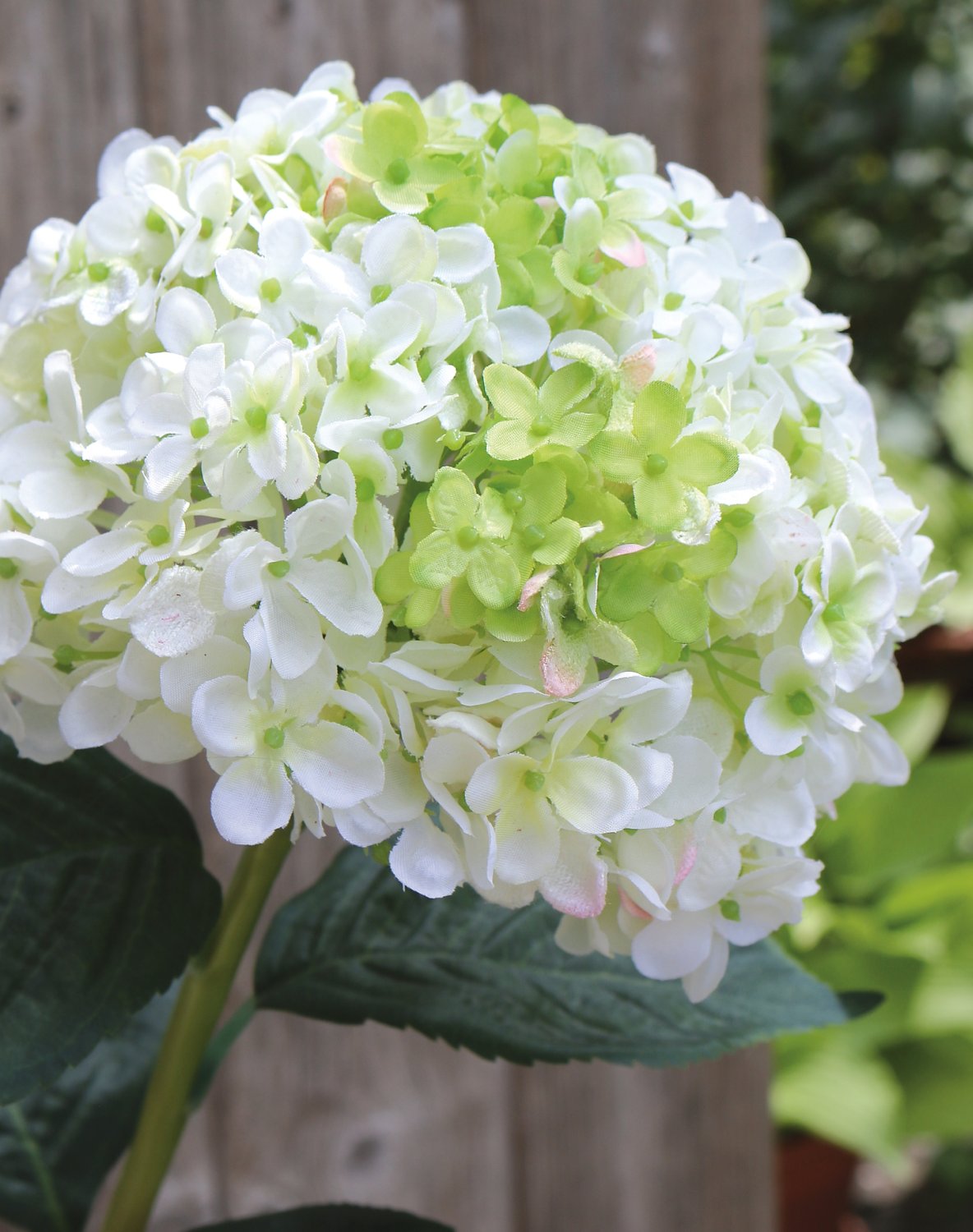 Ortensia artificiale, 60 cm, bianco-verde