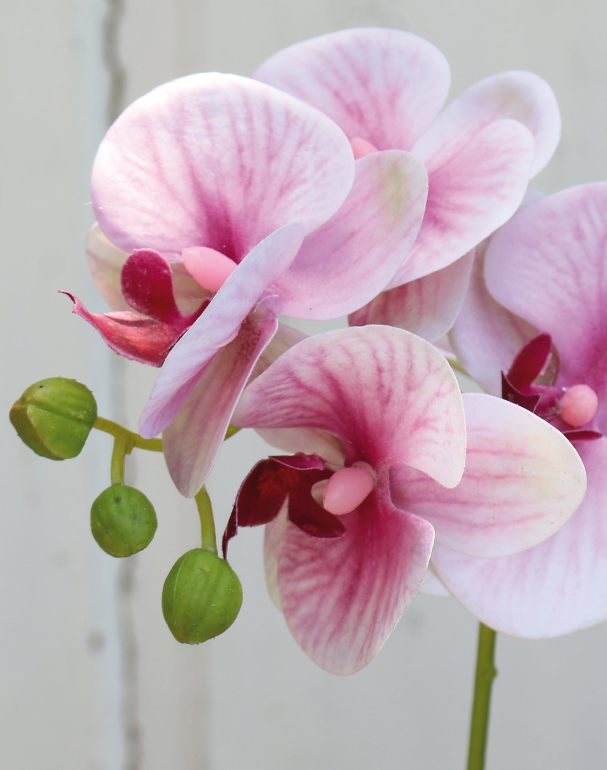Künstliche Orchidee Phalaenopsis, 37 cm, Real Touch Soft, rosa