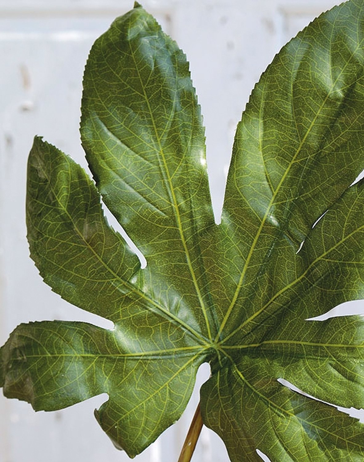 Faux aralia leaf, 69 cm, green
