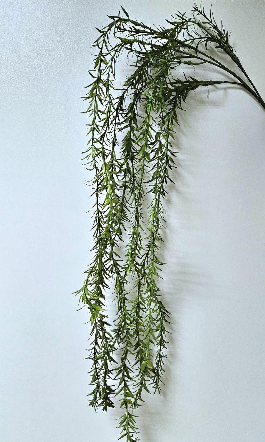 Colgante de sprengeri artificial, 124 cm, verde oscuro