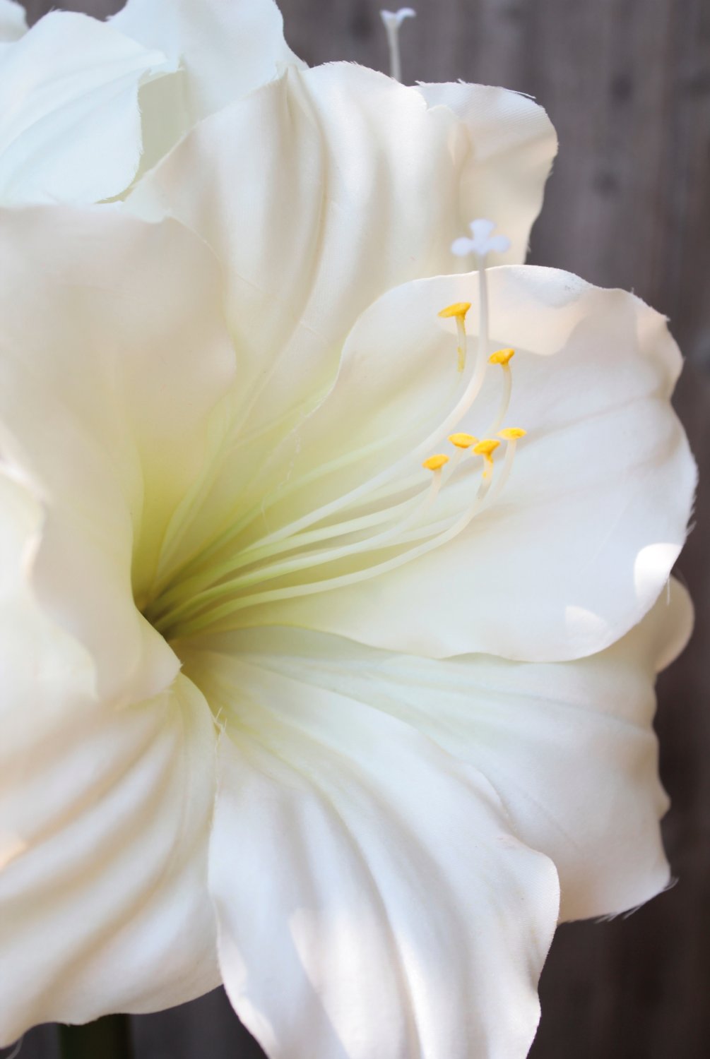 Künstliche Amaryllis, 71 cm, weiß