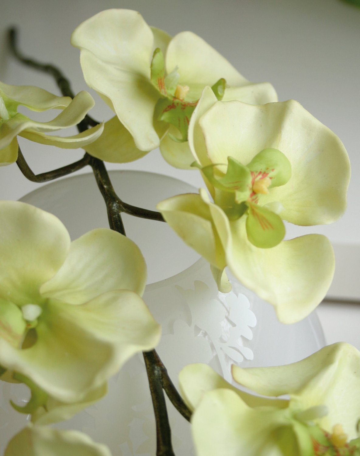 Künstliche Orchidee Phalaenopsis, 110 cm, Real Touch, creme-grün