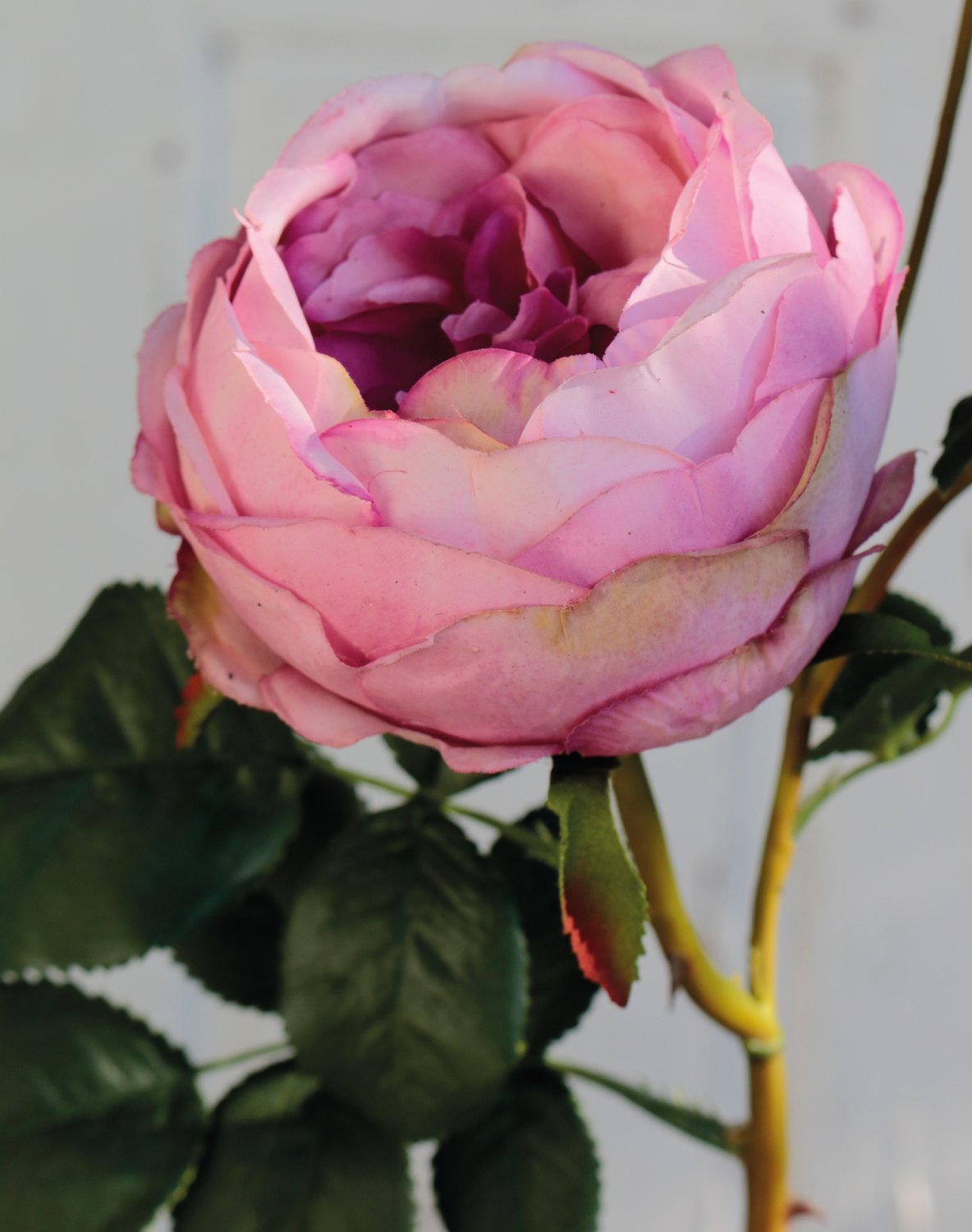 Artificial rose, 1 flower, 2 buds, 60 cm, real touch soft, antique-rose