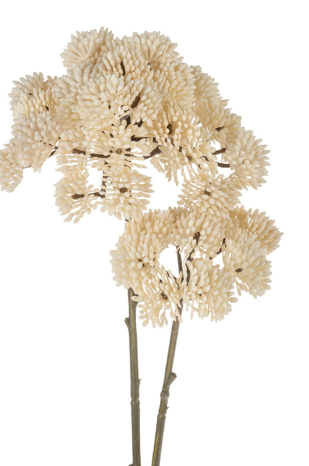 Artificial sedum branch "Vintage", 70 cm, cream-white