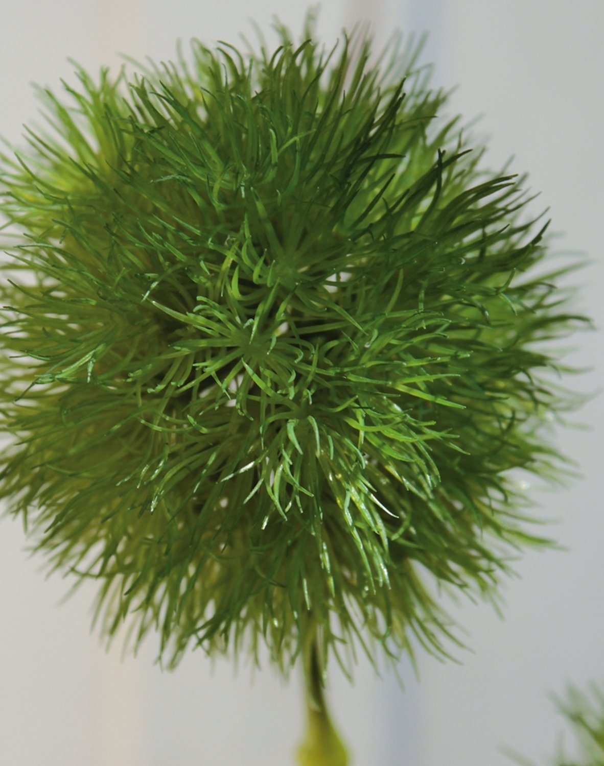 Artificial Chinese feather grass, 45 cm, green