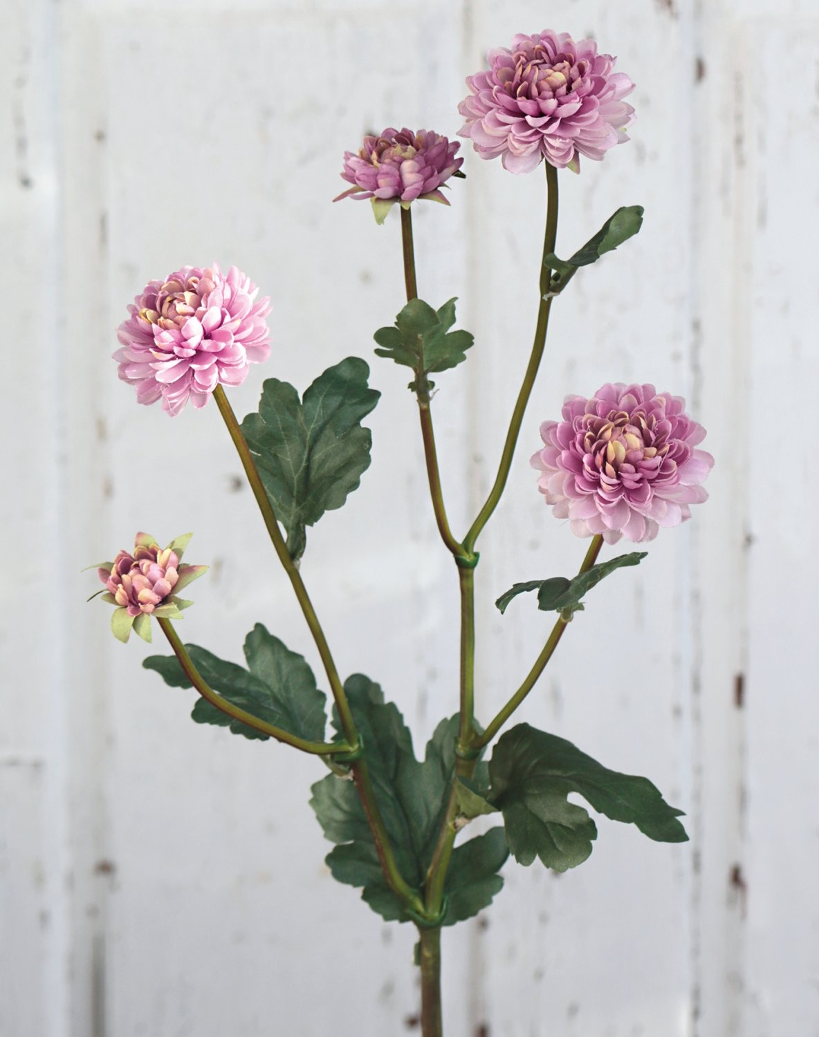 Künstliche Chrysantheme, 5-fach, 68 cm, antik-hellrosa