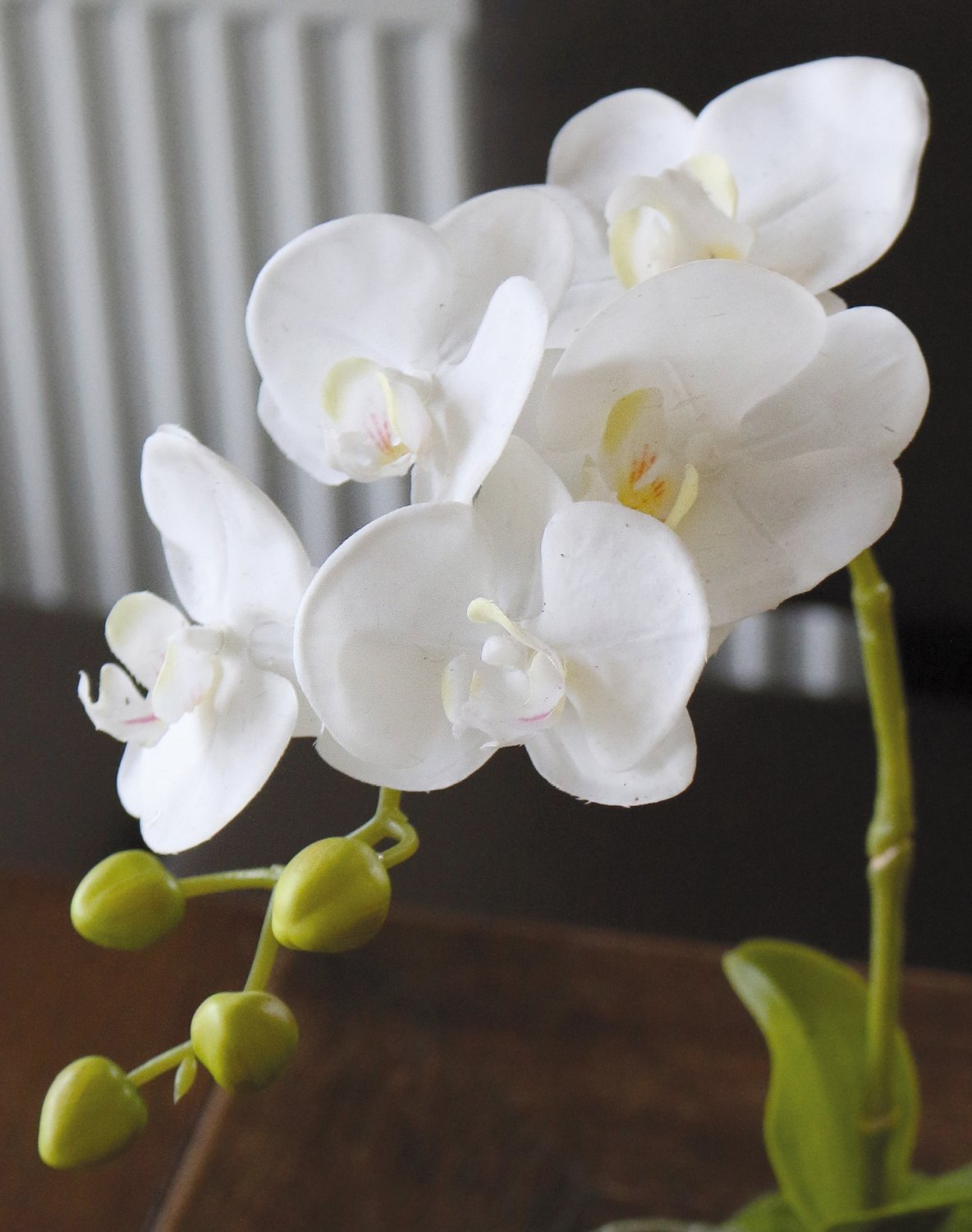 Orchidea Phalaenopsis artificiale in 'Terra', 43 cm, Real Touch, bianco
