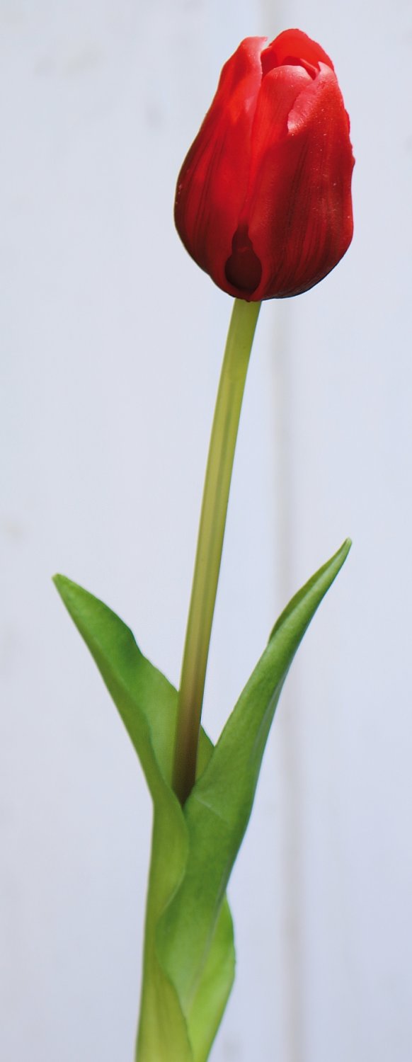Künstliche Tulpe, französisch, 47 cm, Real Touch, rot