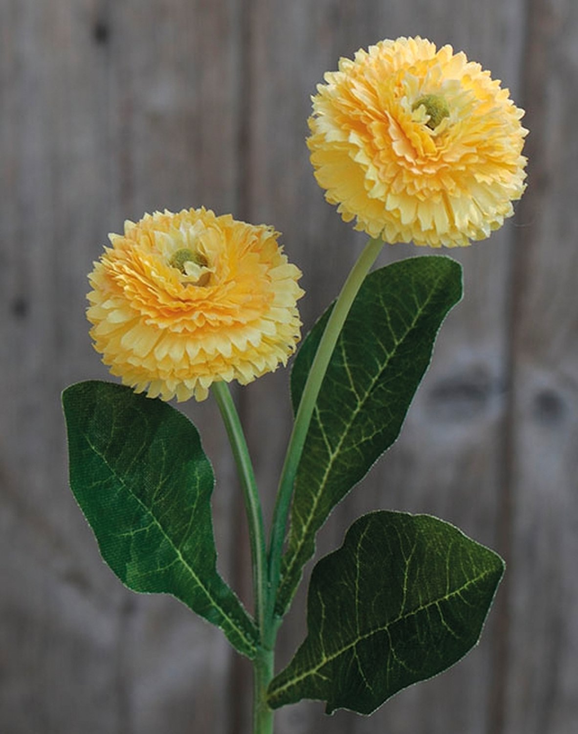 Künstliche Bellis auf Steckstab, 2 Blüten, 26 cm, gelb