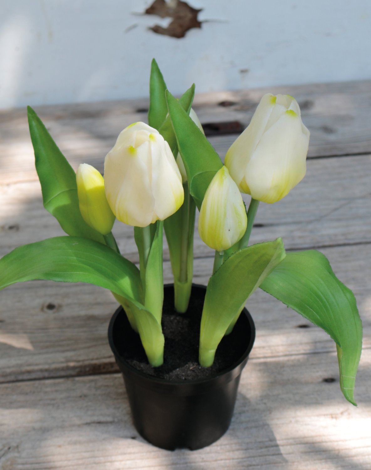 Künstliche Tulpen, getopft, 5-fach, 25 cm, Real Touch, weiß-grün