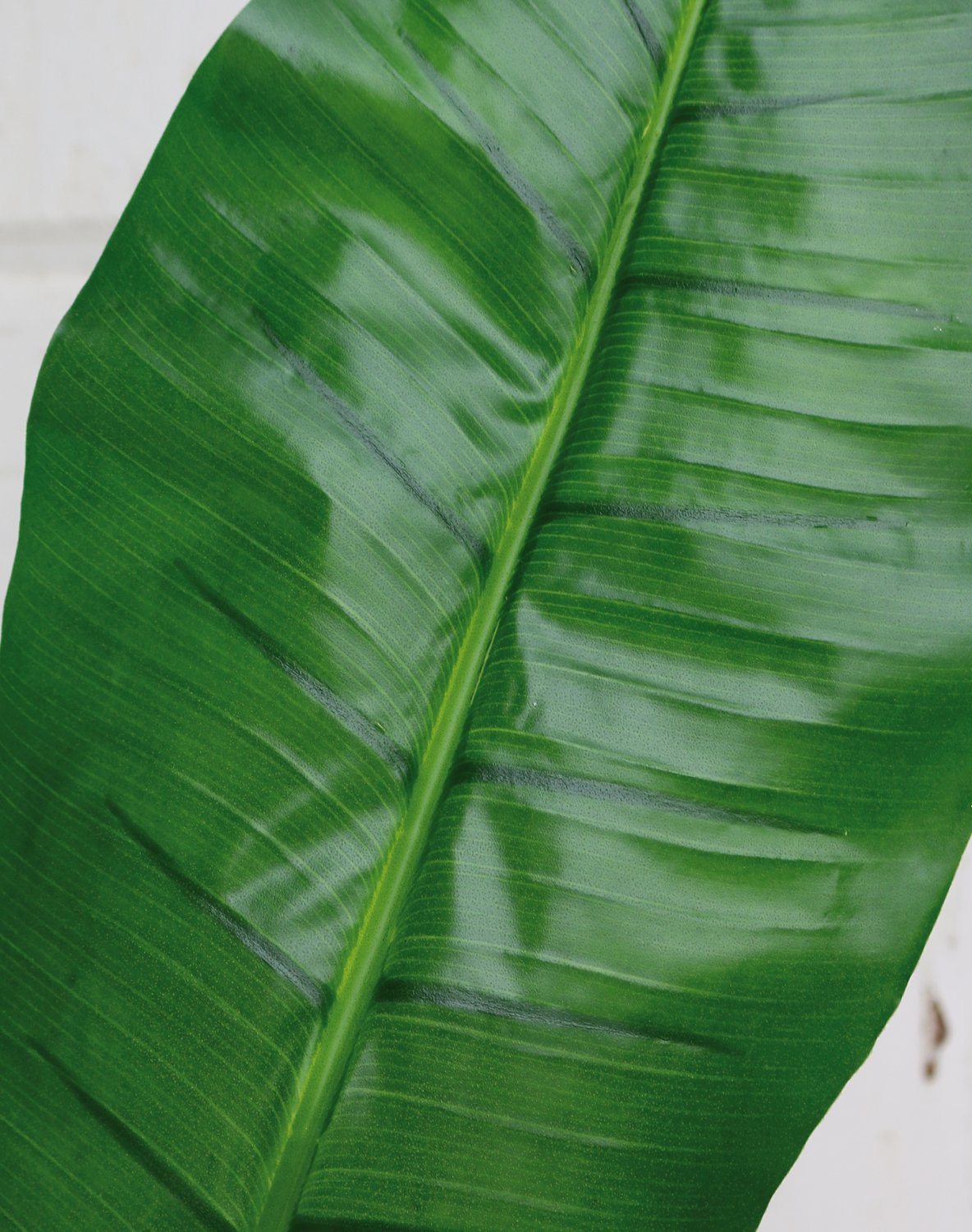 Foglia di banano artificiale, 129 cm (foglia 57 cm), verde