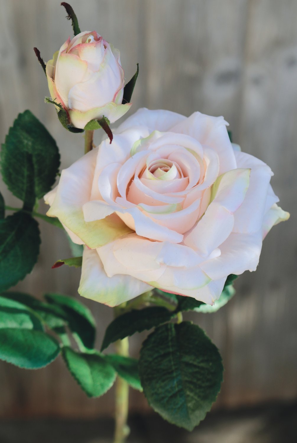 Artificial rose, 1 flower, 1 bud, 37 cm, real touch soft, antique-light pink