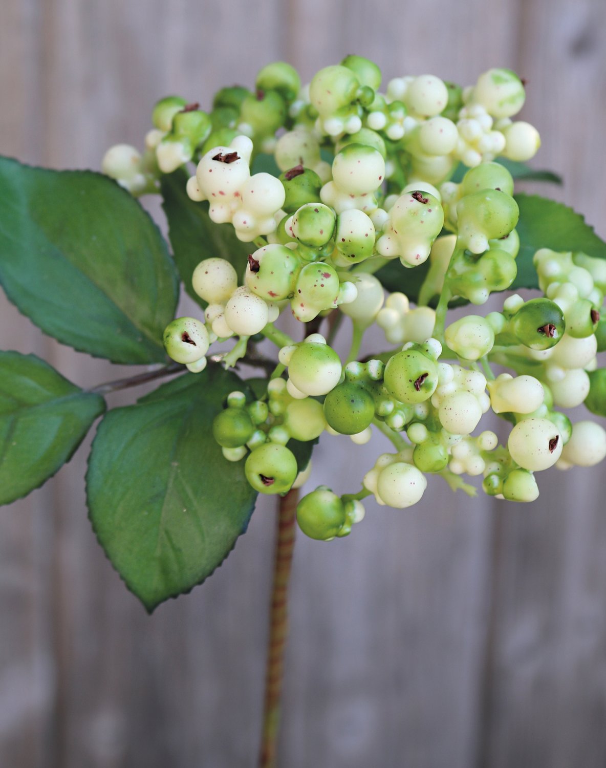 Artificial berries on stick, 30 cm, beige-green