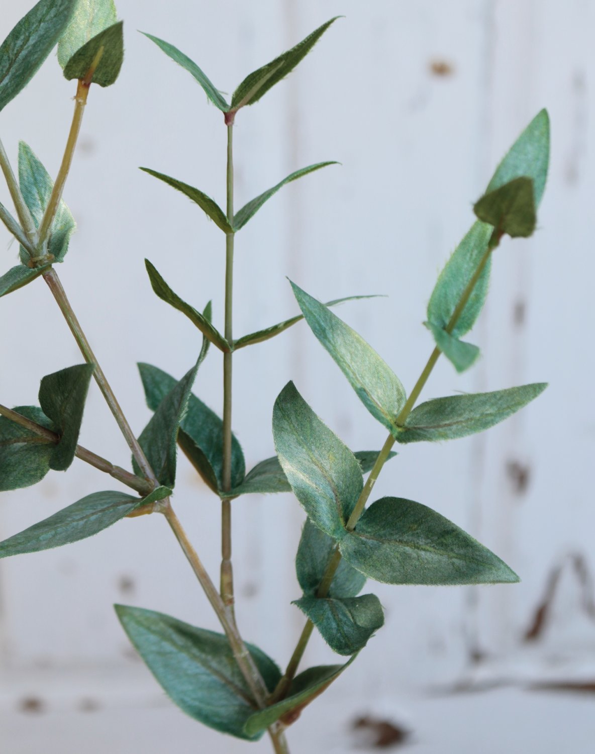 Künstlicher Eukalyptuszweig, 56 cm, grün