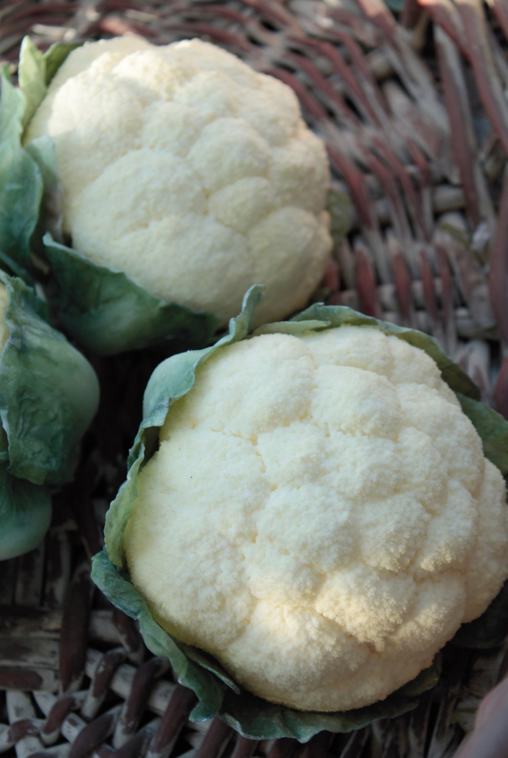 Cavolfiore artificiale, 16 cm, bianco-verde