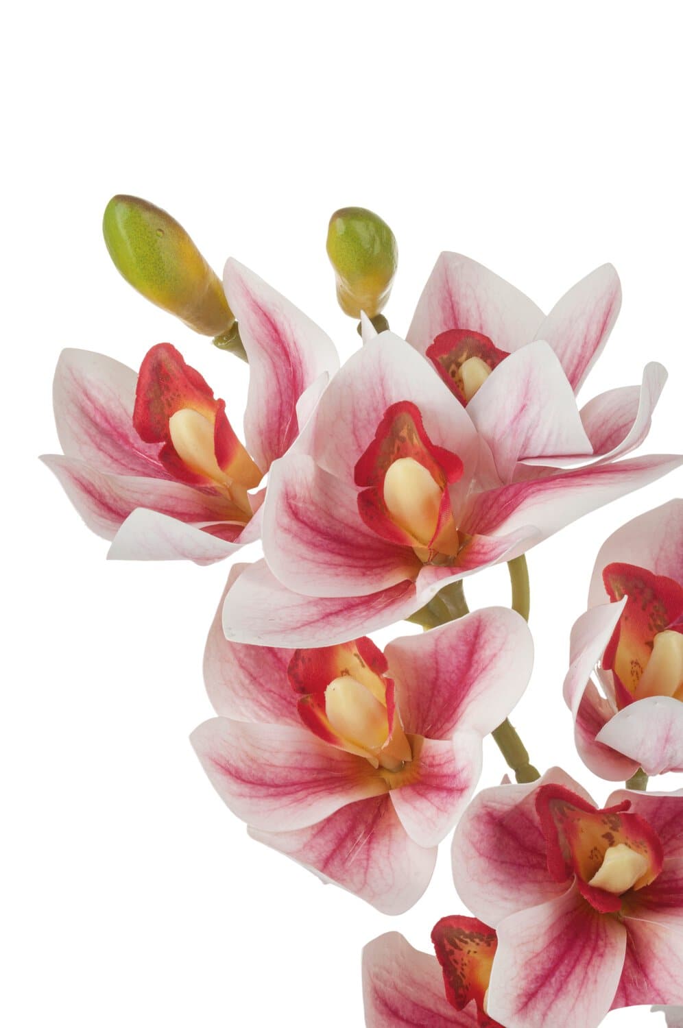 Künstliche Orchidee Cymbidium mit 10 Blüten, 74 cm, Ø 9 cm, Real Touch, rosa-weiß
