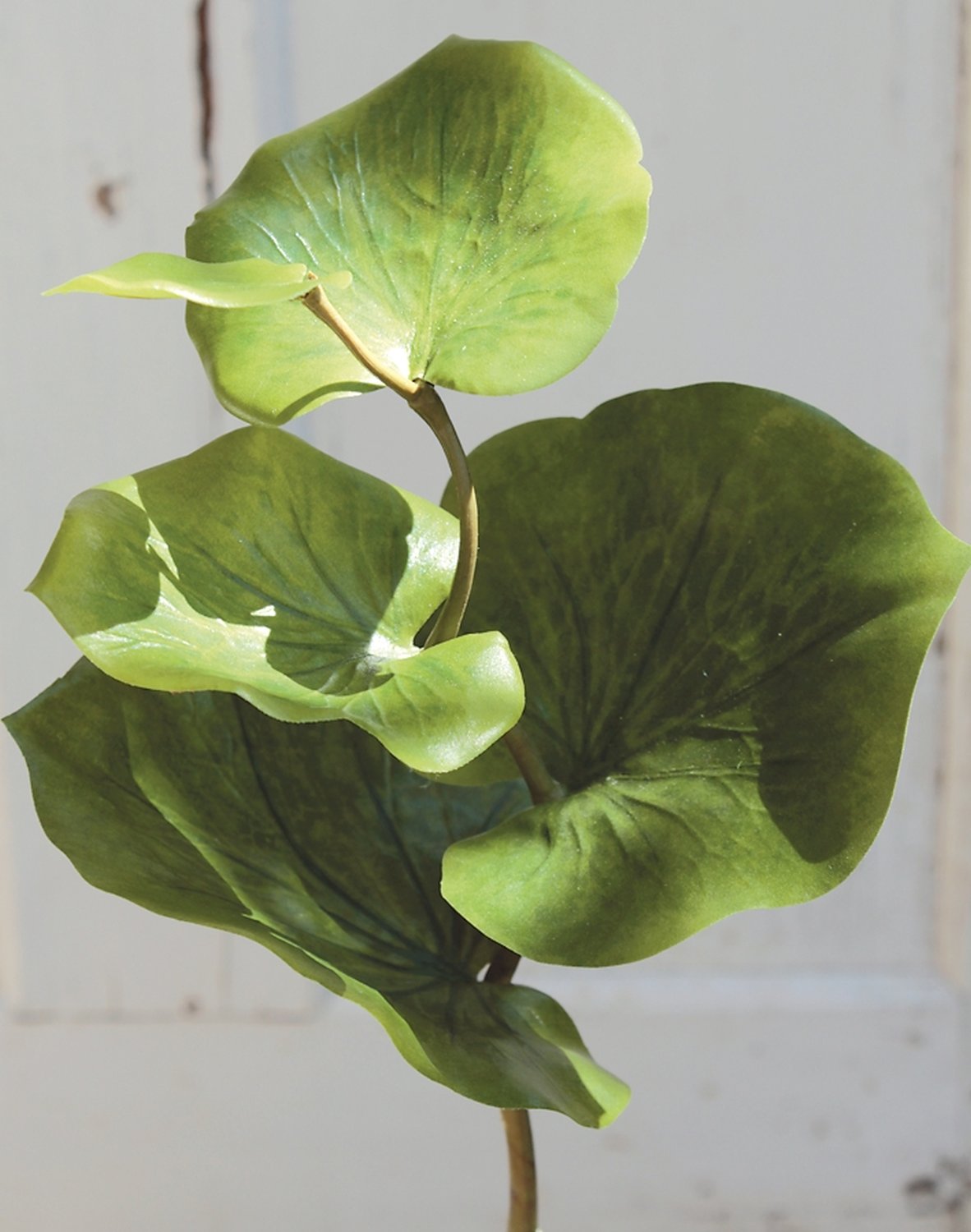 Rama de eucalipta de plástico, 40 cm, verde Rama de eucalipta de plástico, 40 cm, verde