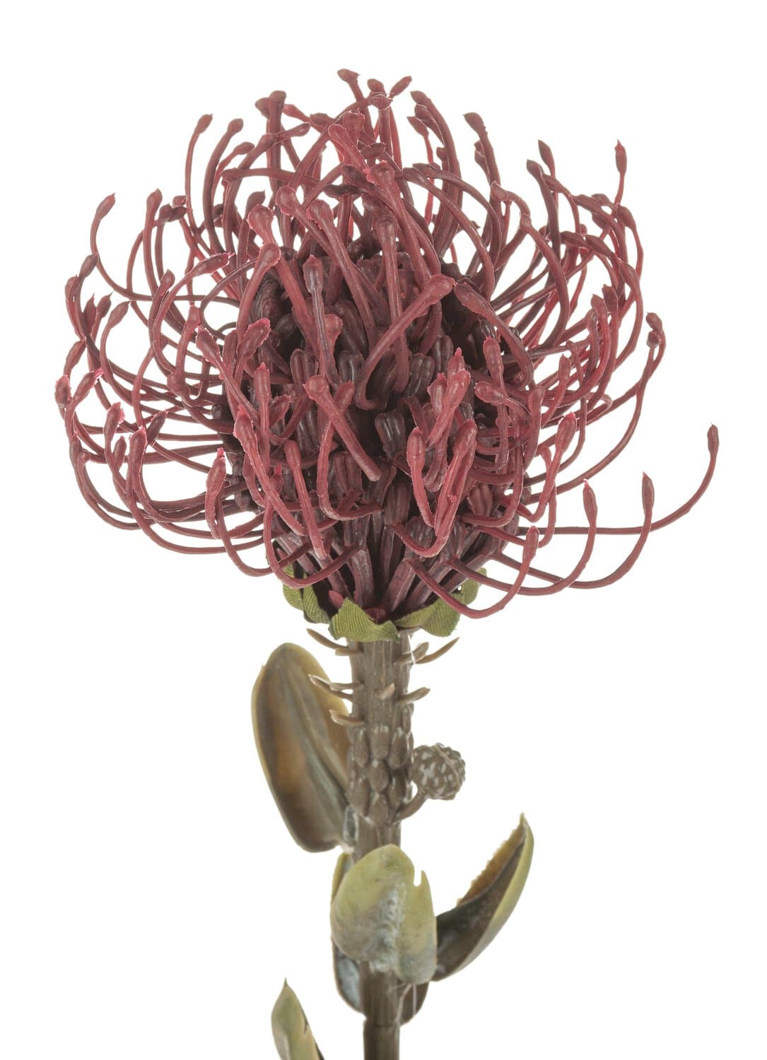 Kunstblume Protea "Vintage", 61 cm, burgunderrot