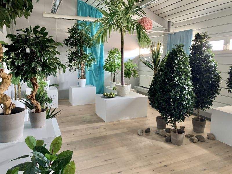 Kuenstliche Baeume im Showroom von H.Andreas Kunstbaeume im H.Andreas Showroom entdecken
