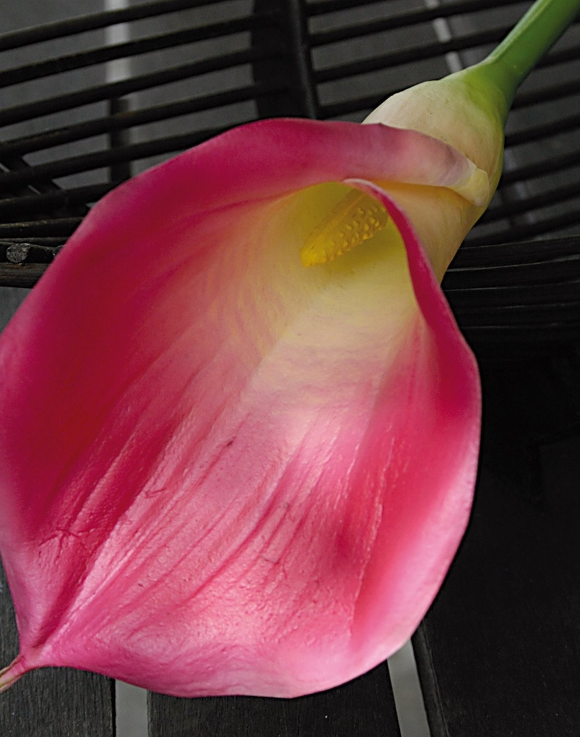Künstliche Calla, 71 cm, Real Touch Soft, pink