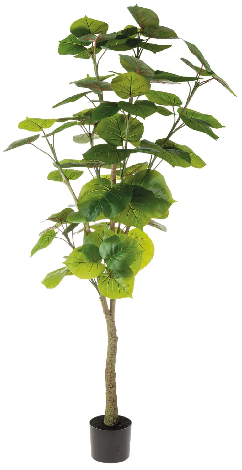 Künstlicher Tarobaum, getopft, 180 cm, grün
