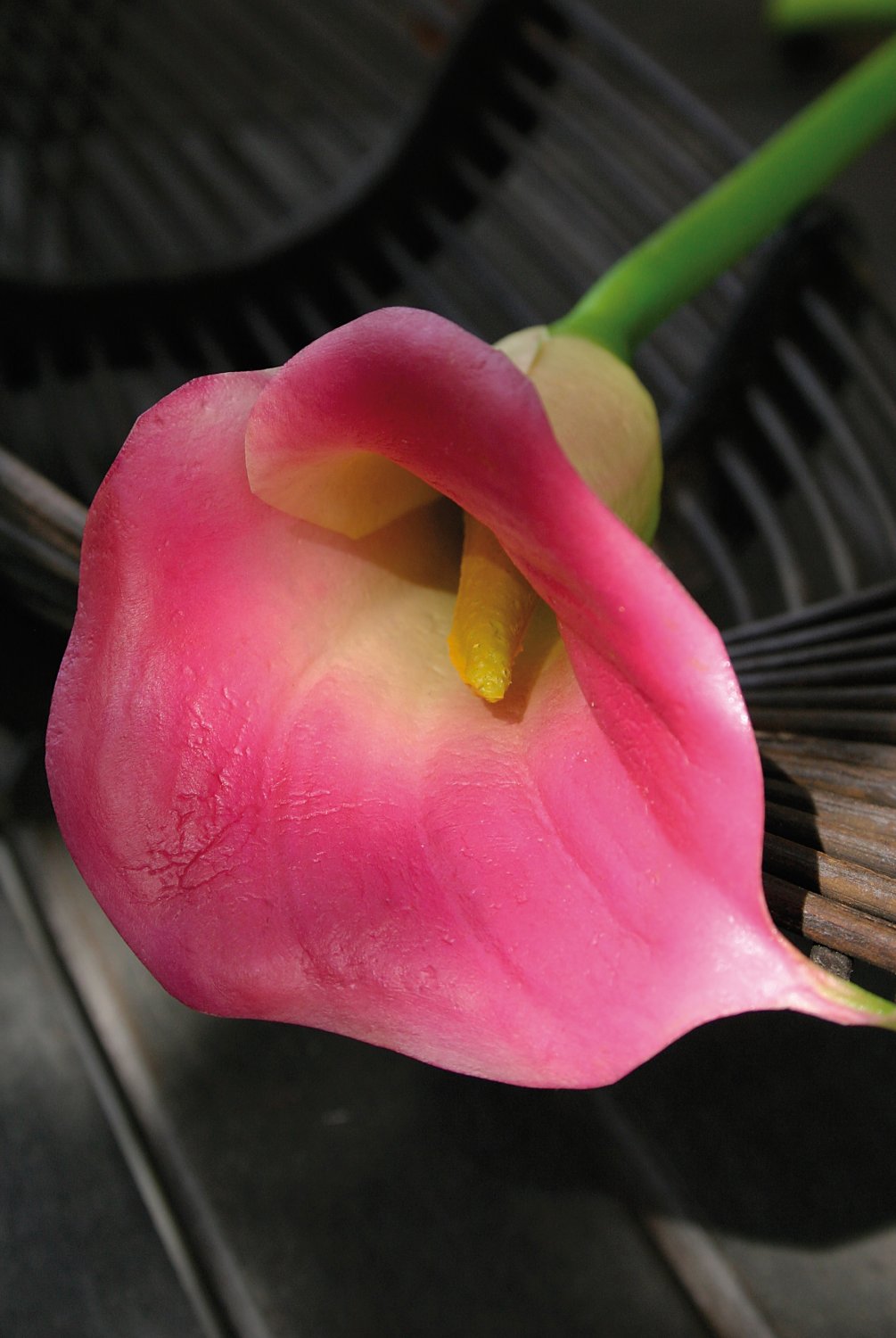 Künstliche Calla, 68 cm, Real Touch Soft, pink