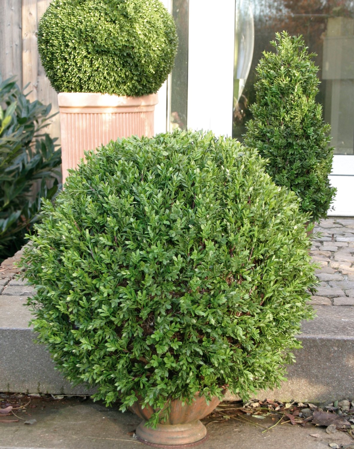 Künstliche Buchsbaumkugel aus Kunststoff, getopft, 60 cm, grün