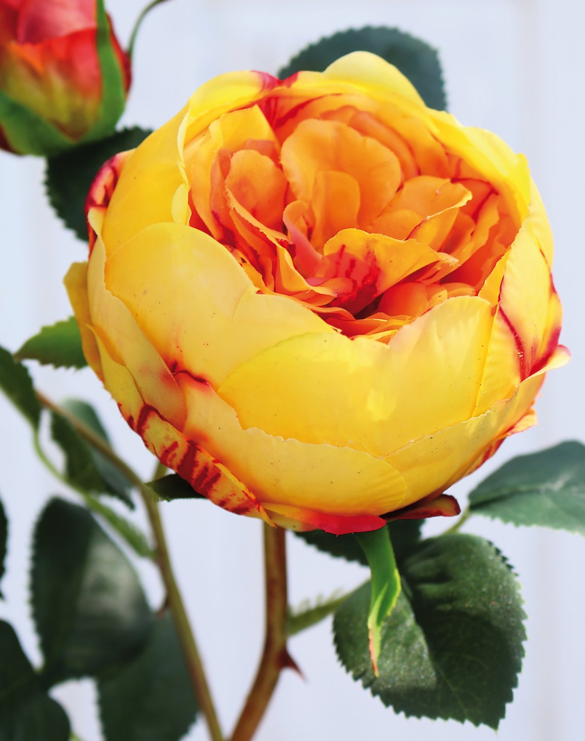 Artificial rose, 1 flower, 2 buds, 60 cm, real touch soft, yellow-orange