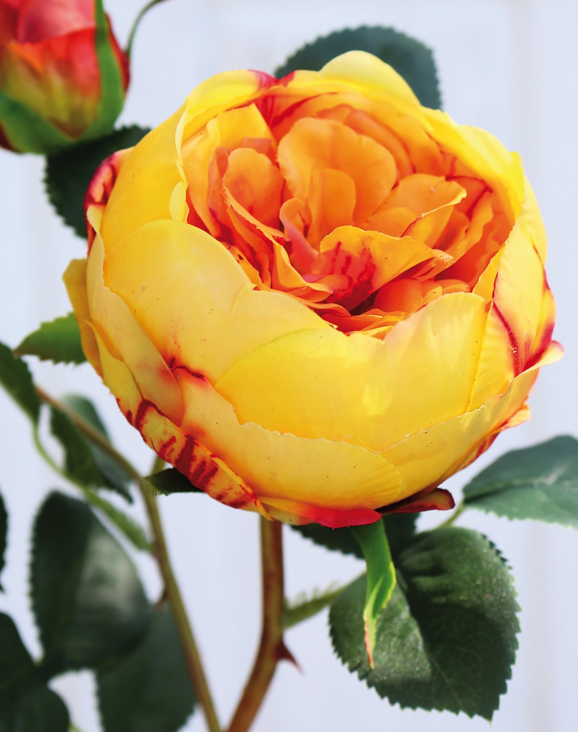 Künstliche Rose, 1 Blüten, 2 Knospen, 60 cm, Real Touch Soft, gelb-orange