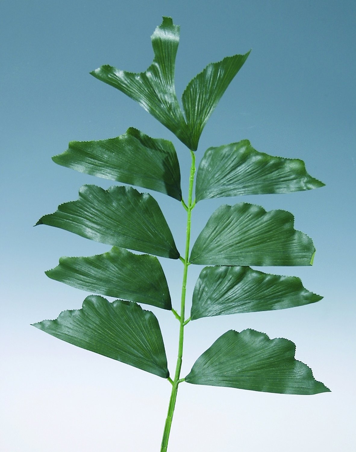 Künstlicher Caryotablattzweig, 82 cm, grün