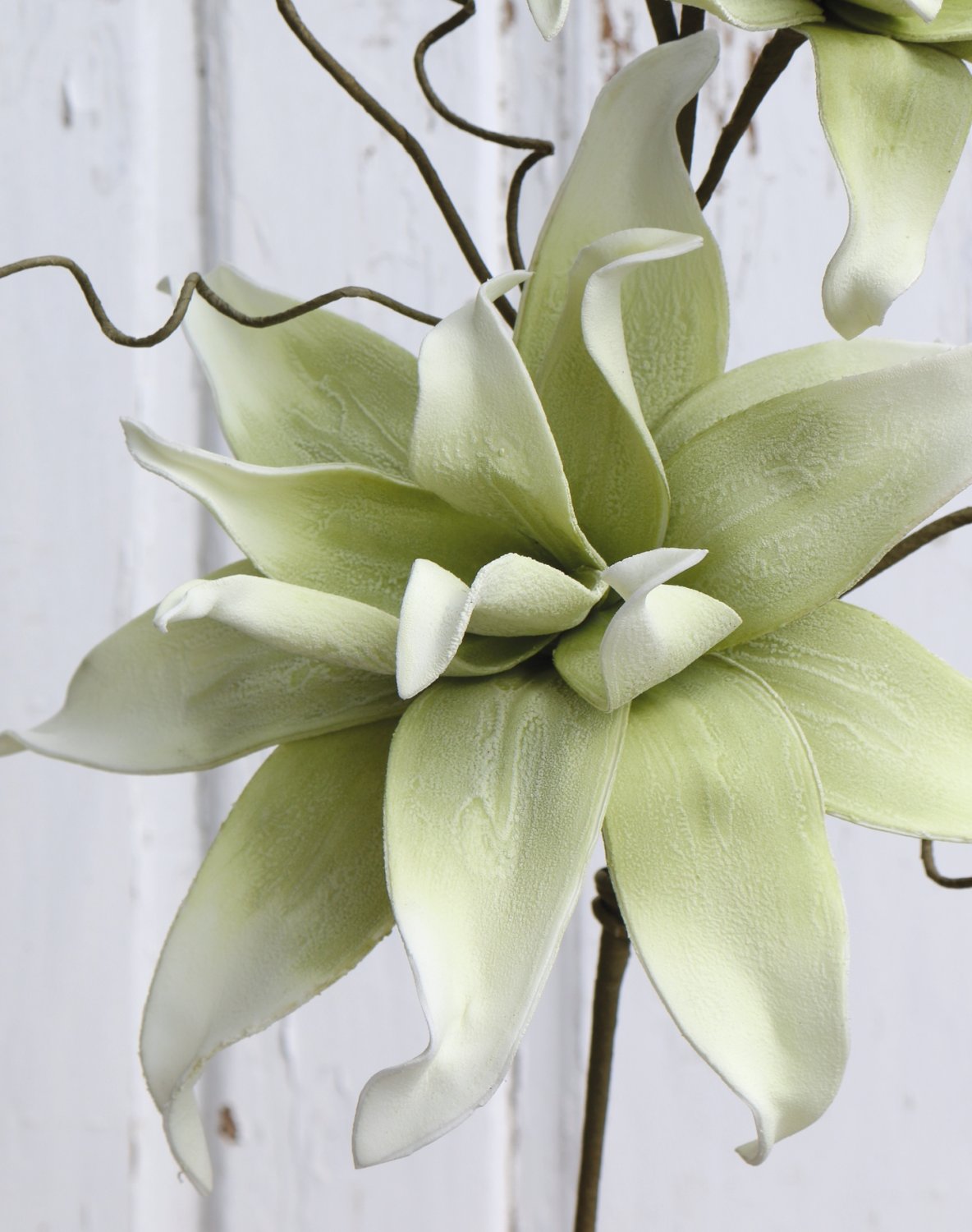 Künstlicher Soft flower 'Blütenzweig', 2 Blüten, 105 cm, grün-weiß